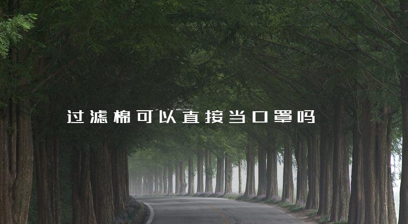 過濾棉可以直接當口罩嗎